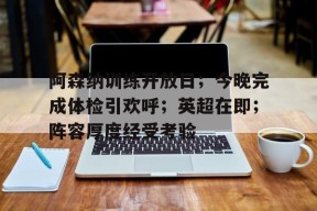 阿森纳训练开放日；今晚完成体检引欢呼；英超在即；阵容厚度经受考验的简单介绍-爱游戏App