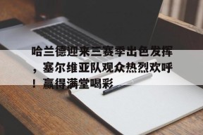哈兰德迎来三赛季出色发挥，塞尔维亚队观众热烈欢呼！赢得满堂喝彩的简单介绍-爱游戏App